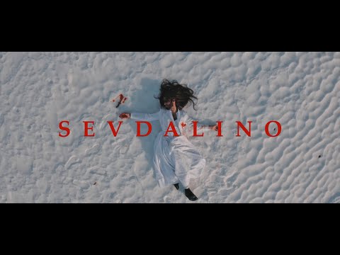 Božo Vrećo S E V D A L I N O