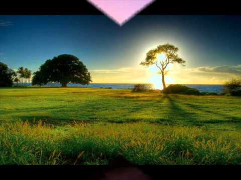 Abraham ♥ Appreciation vs. Gratitude