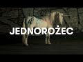 Sokół - Jednorożec (Official Video) Sokół - Jednorożec (Official Video)