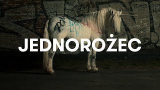 Sokół - Jednorożec (Official Video)