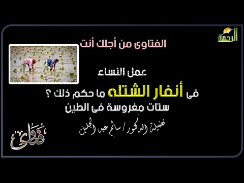 عمل النساء فى أنفار الشتله ما حكم ذلك ؟ ستات مغروسة فى الطين  فتاوى دكتور  سالم عبد الجليل