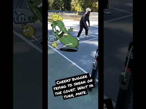 This little dink trying to sneak on the court. #art #pickleball #draw #adobeaero #dink #illustrate