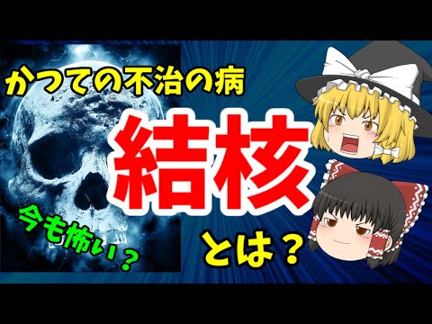 結核菌について詳しく解説