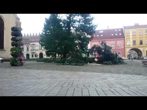 Posledné okamihy: Takto padli stromy pri kostole na Hlavnej v Prešove