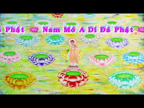 HD | Kinh A Di Đà Sớ Sao Diễn Nghĩa, tập 188 [phụ đề] - Lão Pháp Sư Tịnh Không