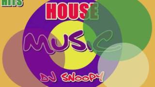 Dj Snoopy - As We Drop Zoltan Kontes 2010 (Star 69 Records Vinil Mix)