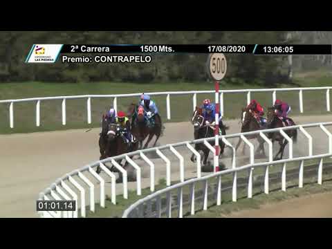 17/08/2020 – Hipodromo Las Piedras – Carr 2 – CONTRAPELO