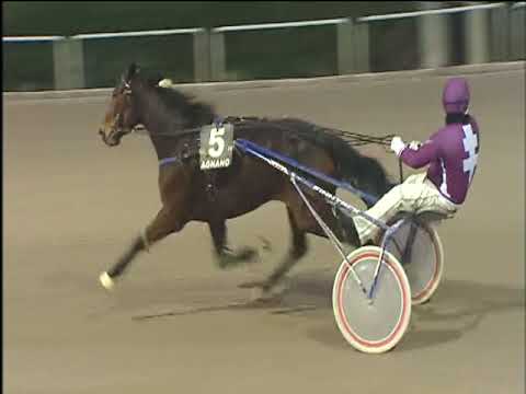 Trotto 15/12/2017 - 3ª corsa