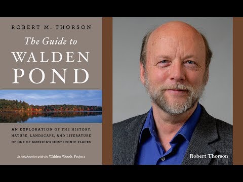 Robert Thorson: The Guide to Walden Pond Nature & Historical Reservation in Massachusetts
