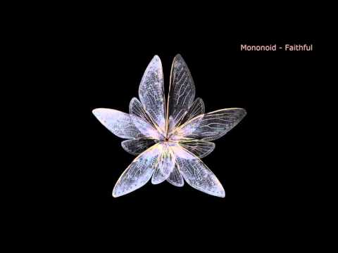 Mononoid - Faithful