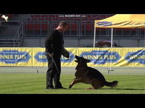 1033 Wothan vom Zisawinkel -TSB BSZS-2023