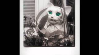 Richard Dawson - Rainy Day (Original Song)