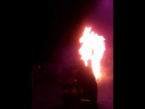 BTP Family 18.11.2017