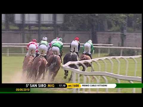 2019.06.09 Premio Carlo Vittadini (ITA) - Anda Muchacho