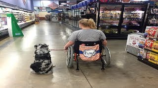 She Warned Strangers Not To Stroke Her Service Dog. Despite Warning They Didn&#39;t Listen