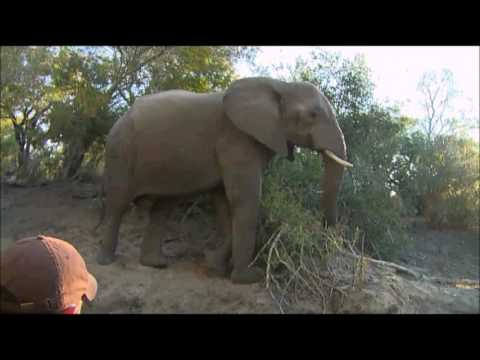 Safari Live :  Ellie get's mad at James for laughing at him  June 25, 2016