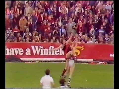 VFL R21 1982 - Essendon v Geelong