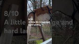 Rate my fails with me✨ #equestrian #horse #pony #horseriding #fail #hobbyhorse #jumpingfail