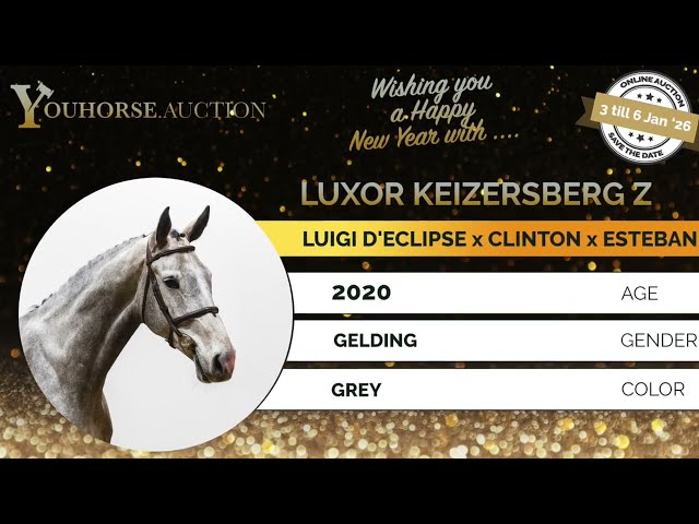 Luxor Keizersberg showvideo outdoor