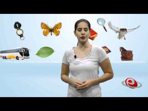 Vídeo | Curso Online de Zoologia dos Vertebrados - Portal Educação