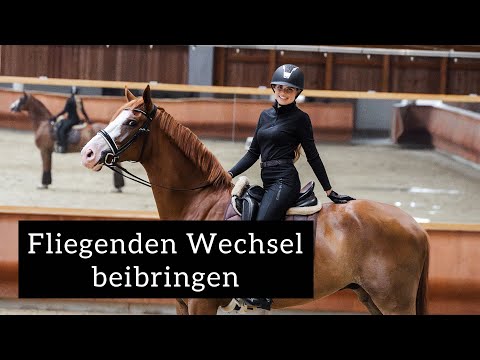 Teaching a horse flying canter changes | Dressage horse training | Inleobo