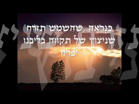 download lagu mp3 mp4 כנראה, download lagu כנראה gratis, unduh video klip Download כנראה Mp3 dan Mp4 Full Gratis
