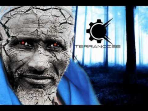 Terranoise - Vitamin T