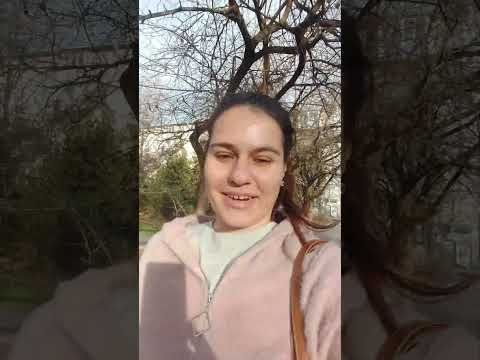Воздушная тревога в Севастополе во время конференции президента