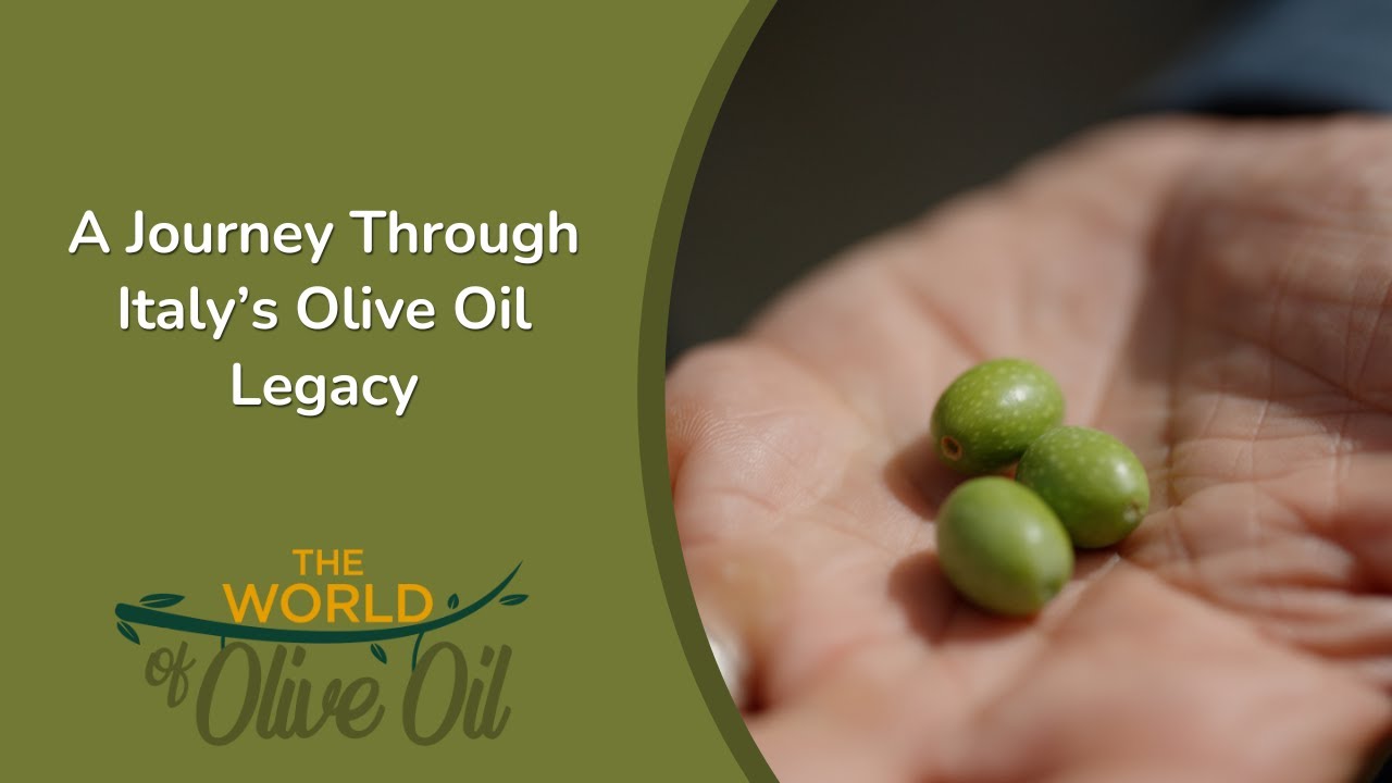 The World of Olive Oil — Documentary, filmed in Italy by cinematographer Matteo Castelli