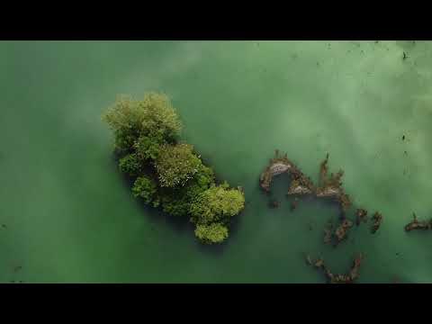 Larkfield lakes, Kent