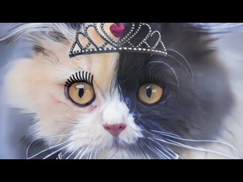 Allegedly With Miss TIA