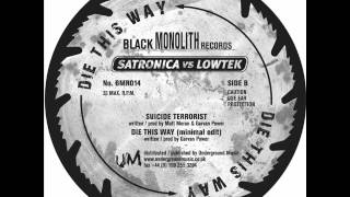 Satronica VS Lowtek - Die This Way (vocal edit)
