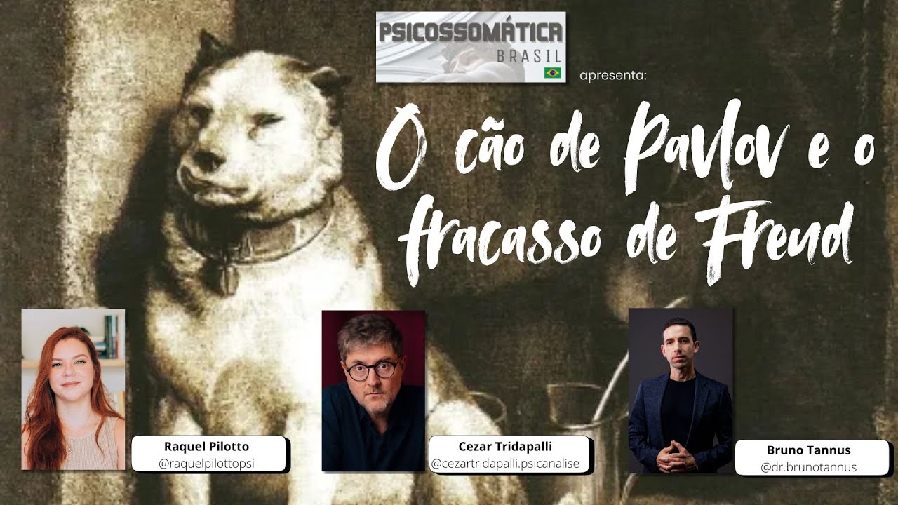 Bruno Guimarães Tannus-19