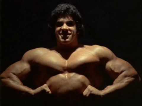 (AvL) Arnold Schwarzenegger vs Lou Ferrigno