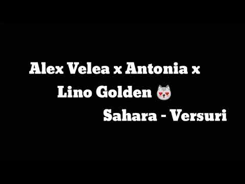 Alex Velea & Antonia , Lino Golden Sahara ( versuri/lyrics )