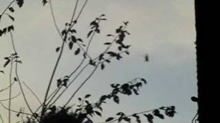 'TALKING' BLACK NWO HELICOPTER OUTSIDE MY HOUSE!?