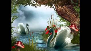 BANDA MACHOS VOLVER A EMPEZAR