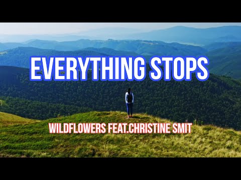 Everything Stops-Wildflowers feat. Christine Smit ( Lyrics Video) Always waiting for you to comeback