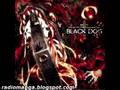 Hellsing OVA Series OST BLACK DOG - Gradus ...