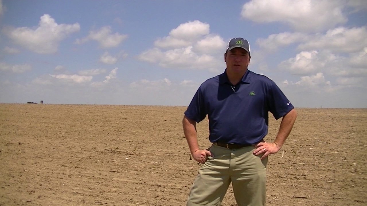 Soybean Evaluations