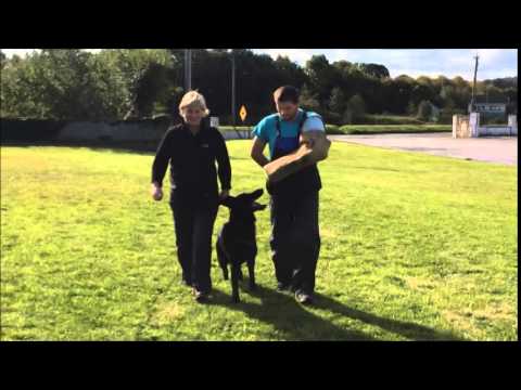 IPO protection training