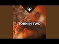 Torn In Two (feat. Fabriq)
