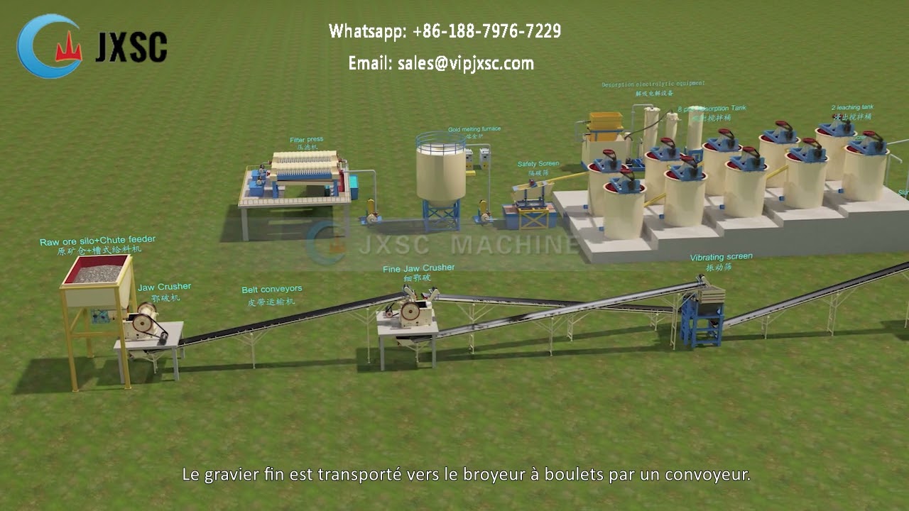 processus De CIP d'or de roche De 300T/J (12TPH)