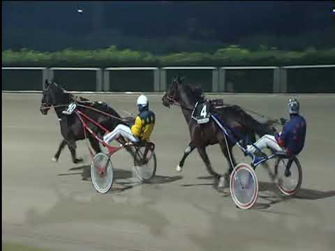 Trotto 11/12/2018 - 5ª corsa