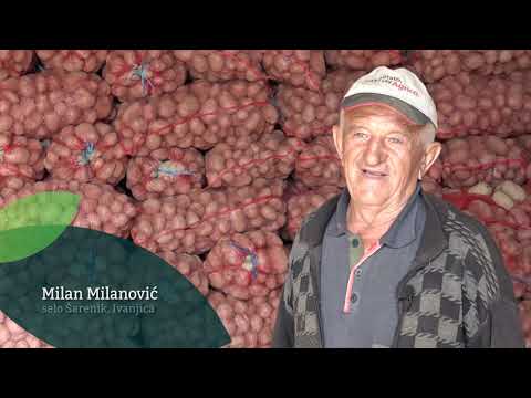 Naša priča ep. 166 26.10.2018. - Krompir, Brezova i Šarenik, Ivanjica