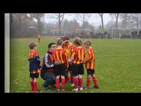 DVGF1 - Schijndel F2 2-4