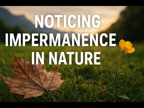 Peace in Change: Noticing Impermanence in Nature (Anicca Meditation & Reflection)