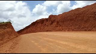 Download lagu Sape music relaxation in the Kalimantan forest mp3