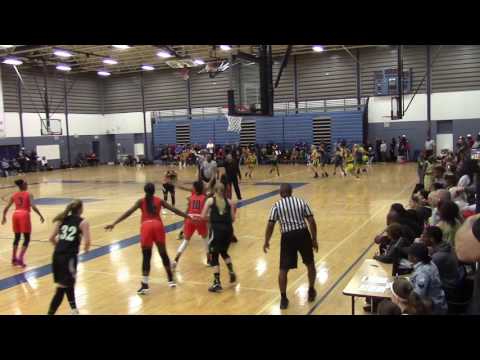 The Truth Black 2020 vs Michigan Crossover 15U 04/21/17