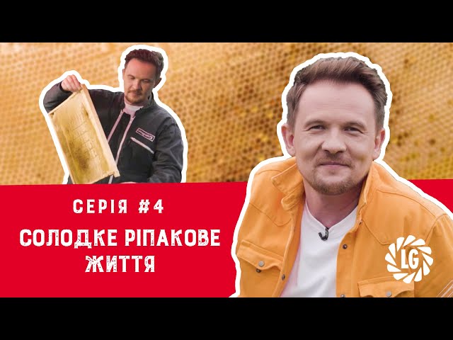 Серія #4: Солодке ріпакове життя